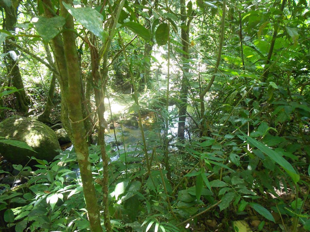 Recanto Marazul Ubatuba Exteriér fotografie